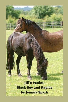 Jill's Ponies: Black Boy and Rapide 1