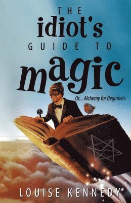 bokomslag The Idiot's Guide To Magic