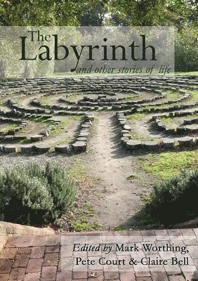 bokomslag The Labyrinth and other Stories of Life