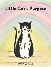 bokomslag Little Cat's Purpose