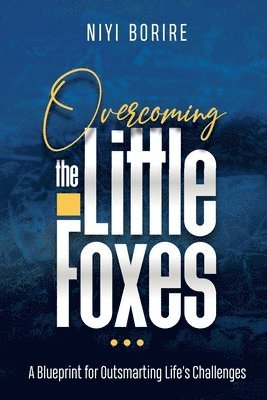 Niyi Borire - Overcoming the Little Foxes, Häftad