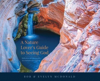 bokomslag A Nature Lover's Guide to Seeing God