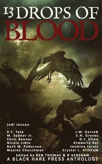 bokomslag 13 Drops of Blood