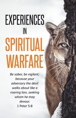 bokomslag Experiences In Spiritual Warfare