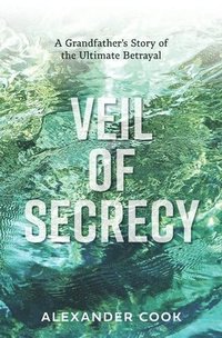 bokomslag Veil of Secrecy