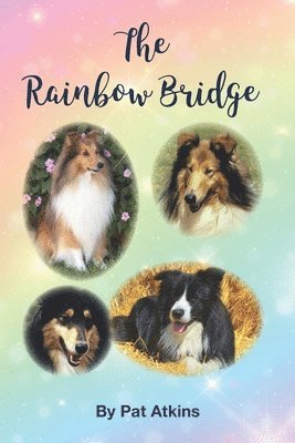 bokomslag The Rainbow Bridge