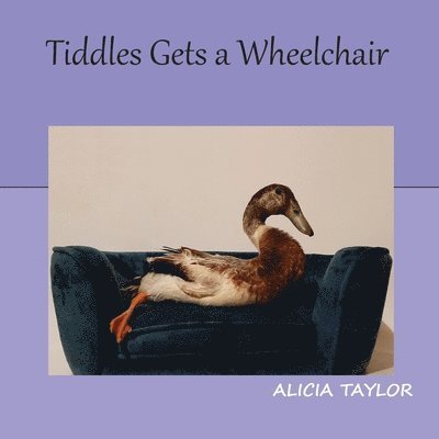 Tiddles Gets a Wheelchair 1