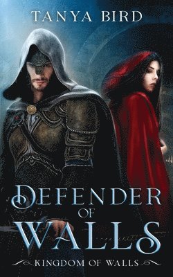 Defender of Walls 1