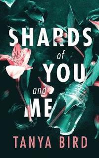 bokomslag Shards of You and Me