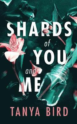 bokomslag Shards of You and Me