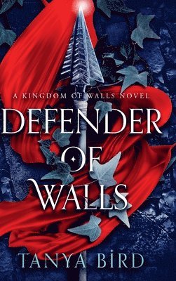 bokomslag Defender of Walls