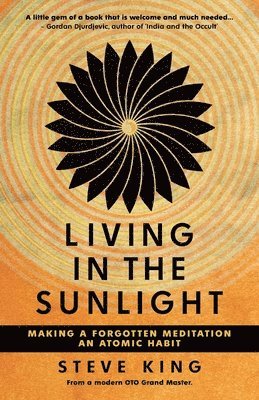 Steve King - Living in the Sunlight, Häftad
