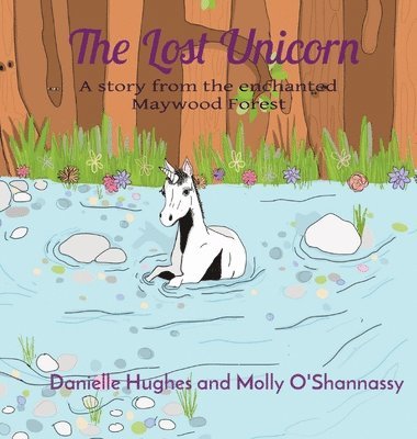 bokomslag The Lost Unicorn