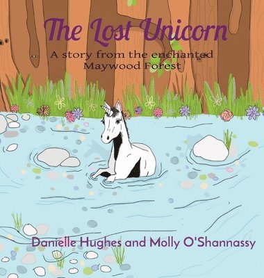 Lost Unicorn