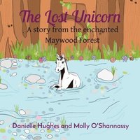 bokomslag The Lost Unicorn