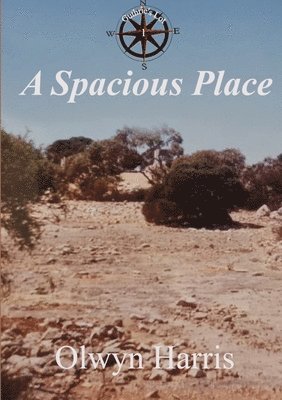 Olwyn Harris - Spacious Place, Häftad
