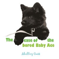 bokomslag The Case of the Bored Baby Ace