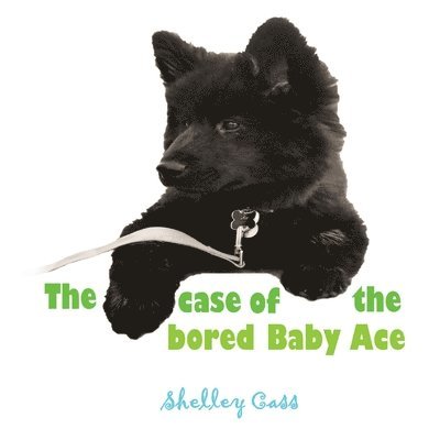 Shelley Cass - Case of the Bored Baby Ace, Häftad
