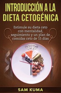bokomslag Introduccin a la Dieta Cetognica