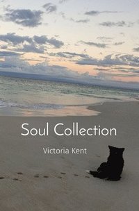 bokomslag Soul Collection