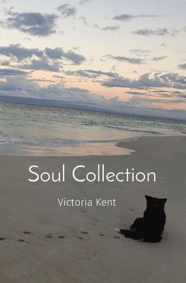 Soul Collection 1