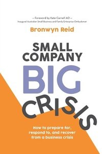 bokomslag Small Company Big Crisis