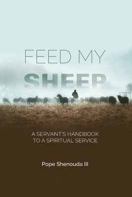 bokomslag Feed My Sheep - A Servant's Handbook to a spiritual Service