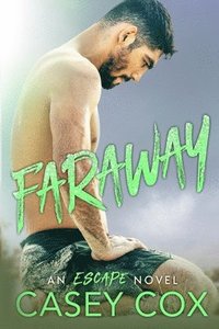 bokomslag Faraway