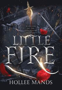 bokomslag Little Fire