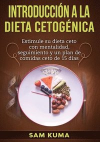 bokomslag Introduccin a la Dieta Cetognica