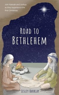 bokomslag Road to Bethlehem