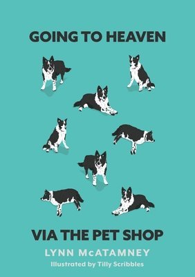 Lynn McAtamney, Tilly Scribbles - Going to Heaven via the Pet Shop, Häftad