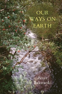 Peter Bakowski - Our Ways on Earth, Häftad. Tillgänglighet: Lägg i varukorg