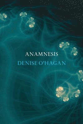 bokomslag Anamnesis