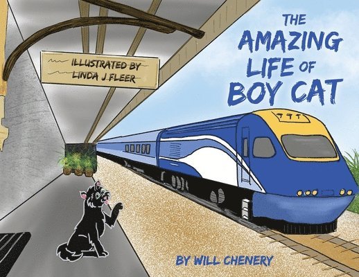 The Amazing Life of Boy Cat 1