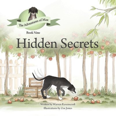 Hidden Secrets 1