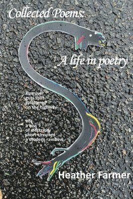 Heather Farmer - Collected Poems, Häftad
