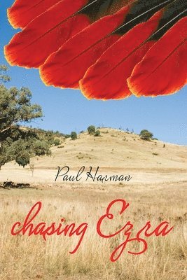 Paul Harman - Chasing Ezra, Häftad