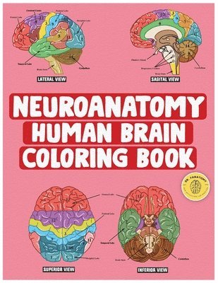 Neuroanatomy Human Brain Coloring Book 1