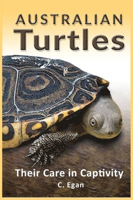 Australian Turtles 1