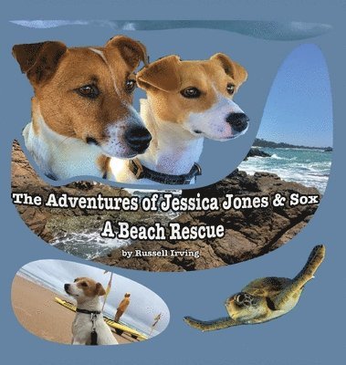 The Adventures of Jessica Jones & Sox - A Beach Rescue 1