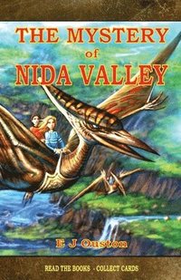 bokomslag The Mystery Of Nida Valley