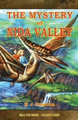 bokomslag The Mystery Of Nida Valley