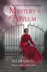 bokomslag Mystery at the Asylum