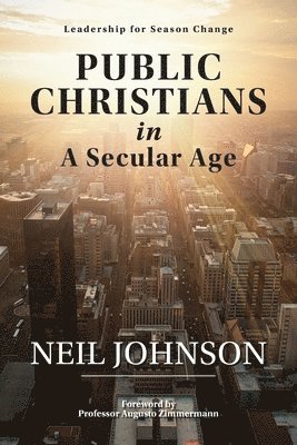 Neil Johnson - Public Christians in A Secular Age, Häftad