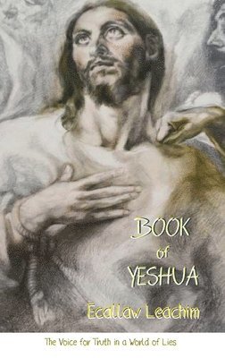 bokomslag Book of Yeshua