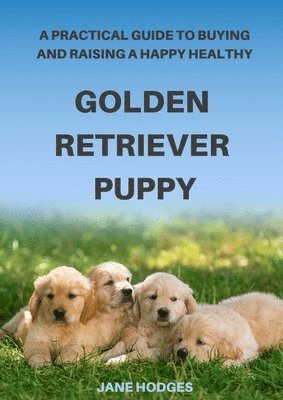 bokomslag Practical Guide to Buying and Raising A Happy Healthy Golden Retriever Puppy