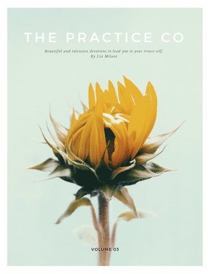 The Practice Co - Volume Three 1