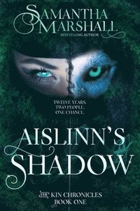 bokomslag Aislinn's Shadow
