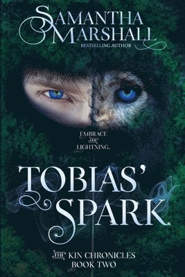 bokomslag Tobias' Spark
